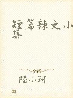 短篇辣文小说合集封面