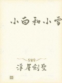 小白和小雪封面