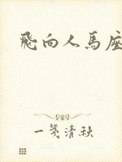 飞向人马座封面