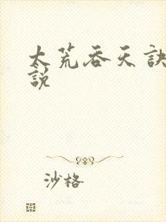 太荒吞天诀 小说