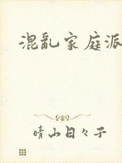 混乱家庭派对