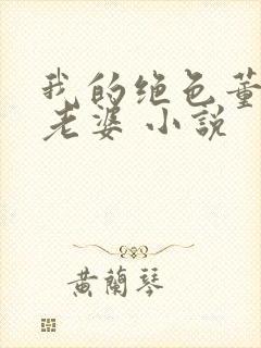 我的绝色董事长老婆 小说封面