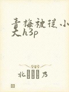 青梅被从小摸到大h3p