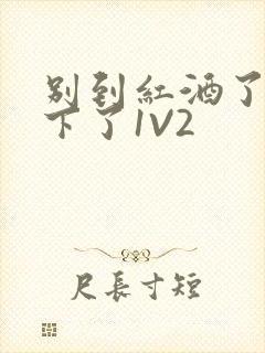 别到红酒了装不下了1V2