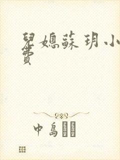 儿媳苏玥小说免费