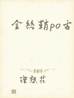 金丝鞘po古言封面