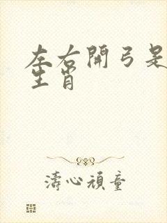 左右开弓是什么生肖