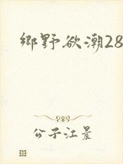 乡野欲潮28章