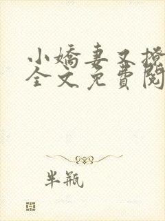 小娇妻又撩又甜全文免费阅读