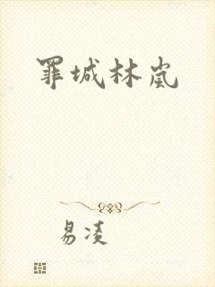 罪城林岚封面