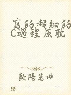 写的超细的多肉C过程原耽