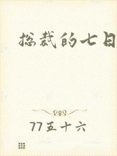总裁的七日恋人封面