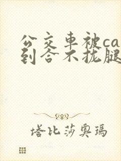 公交车被cao到合不拢腿视频