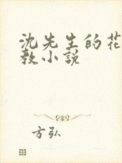 沈先生的花式管教小说封面