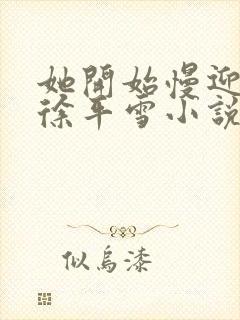 她开始慢迎迎合徐平雪小说封面