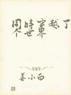 同时穿越了99个世界