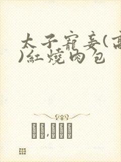 太子宠妾(高肉)红烧肉包