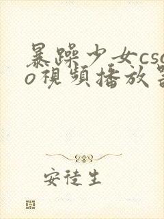 暴躁少女csgo视频播放器推荐