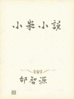 小米小说