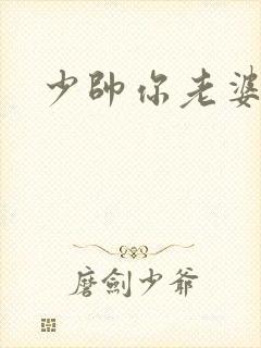 少帅你老婆