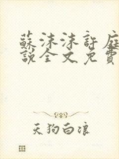 苏沫沫许庭川小说全文免费阅读封面