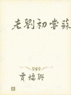 老刘初尝苏荷媳封面