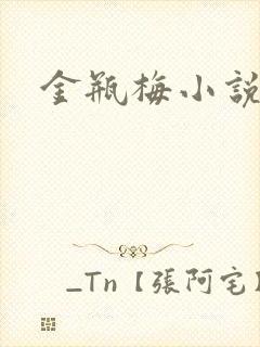 金瓶梅小说在线