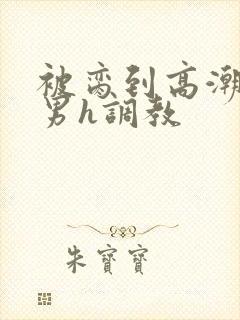 被脔到高潮的直男h调教