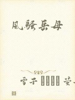 风骚岳母