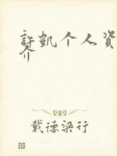 许凯个人资料简介