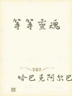 等等灵魂