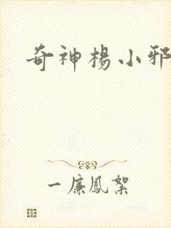 奇神杨小邪封面