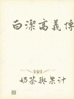 白洁高义传封面