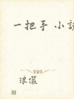 一把手 小说封面