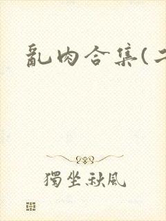 乱肉合集(二)封面