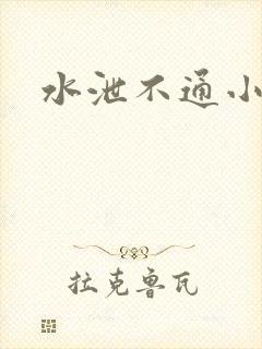 水泄不通小说