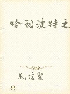 哈利波特之守护