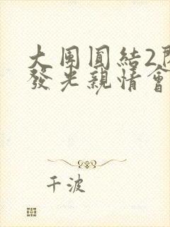 大团圆结2闪闪发光亲情会