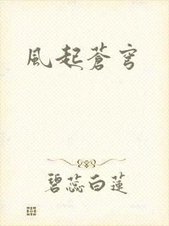 风起苍穹封面