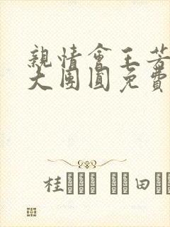 亲情会王芳高敏大团圆免费阅读封面