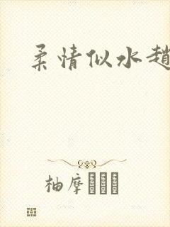 柔情似水赵雅儿封面