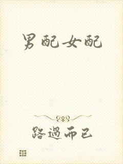 男配女配封面