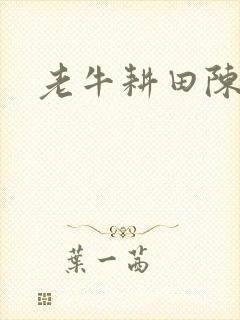 老牛耕田陈雪