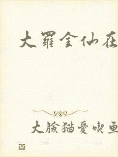 大罗金仙在都市