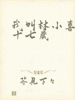 我叫林小喜今年十七岁