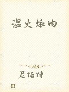 温火炖肉封面