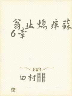 翁止熄痒苏玥第6章