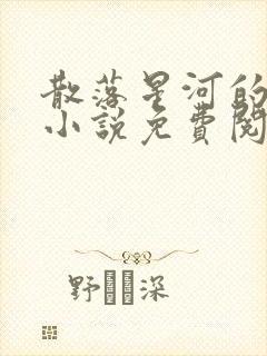 散落星河的记忆小说免费阅读全文封面