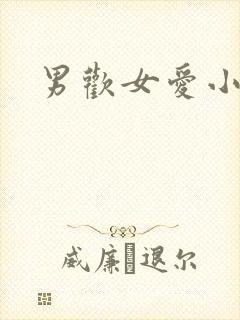 男欢女爱小说