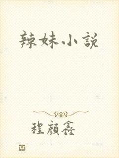 辣妹小说